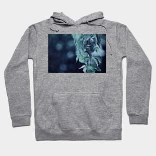 Indigo Evening Hoodie